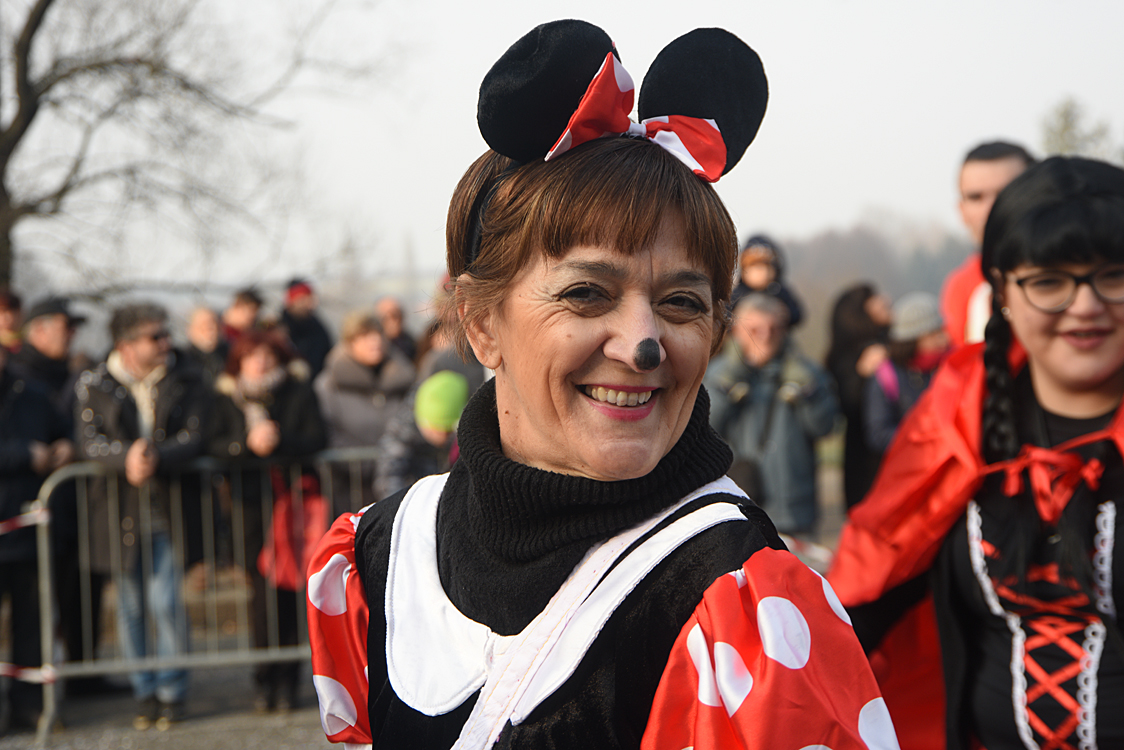 Sfilata carri Carnevale di Torino_132.jpg